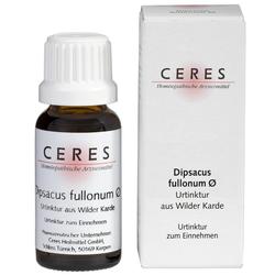 CERES DIPSACUS FULLON URT