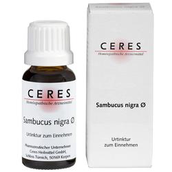 CERES SAMBUCUS NIGRA URT