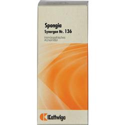 SYNERGON KOMPL SPONGIA 136