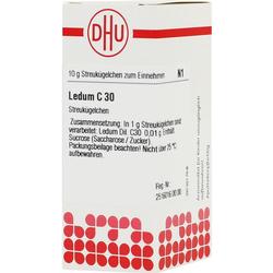 LEDUM C30