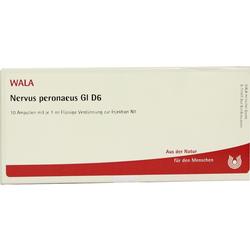 NERVUS PERONAEUS GL D 6