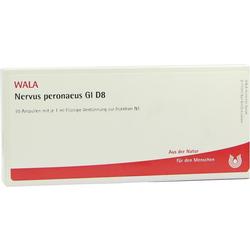 NERVUS PERONAEUS GL D 8