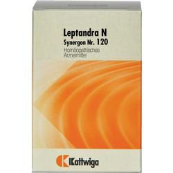SYNERGON KOMPL LEPTAN N120