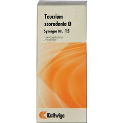 SYNERGON KOMPL TEUCR URT15