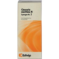 SYNERGON KOMPL CINER MA N2