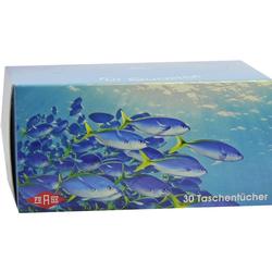 TASCHENTUCHBOX 30ER