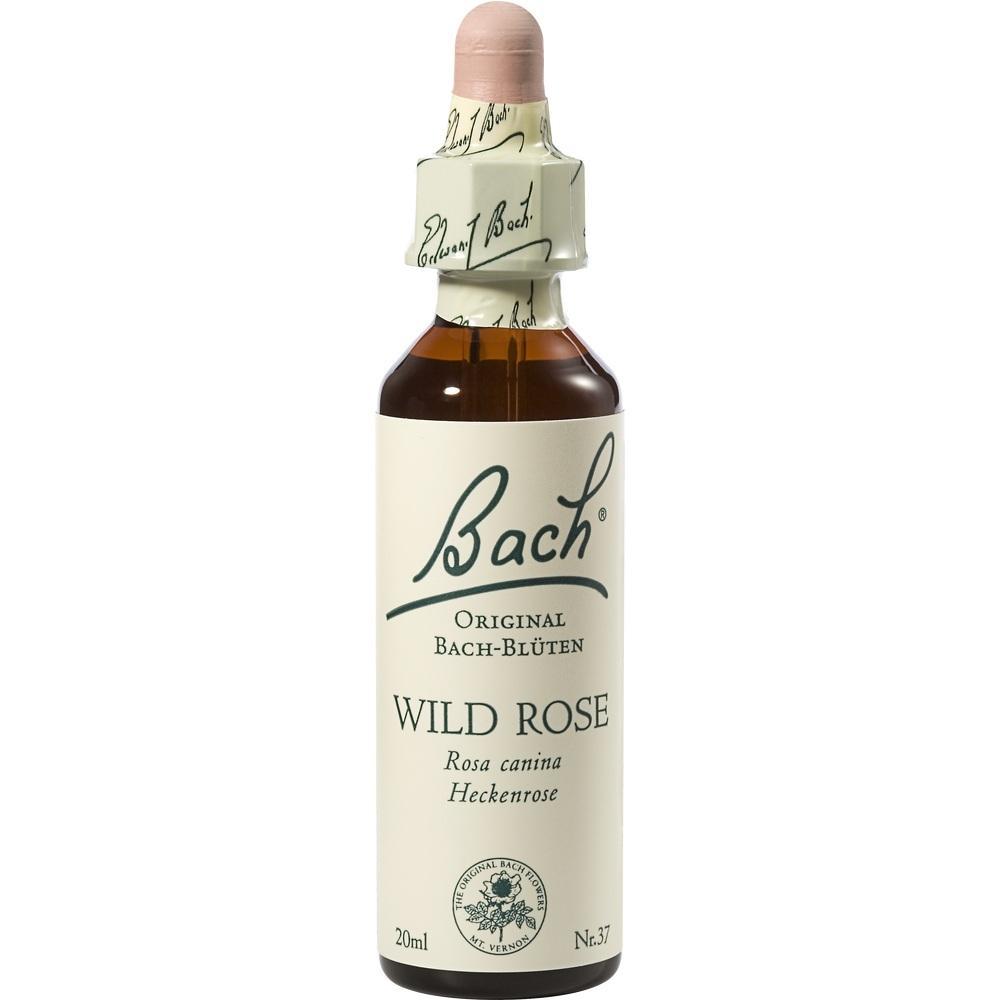 Eine Flasche Bach-Blüten-Essenz mit der Aufschrift "Wild Rose".