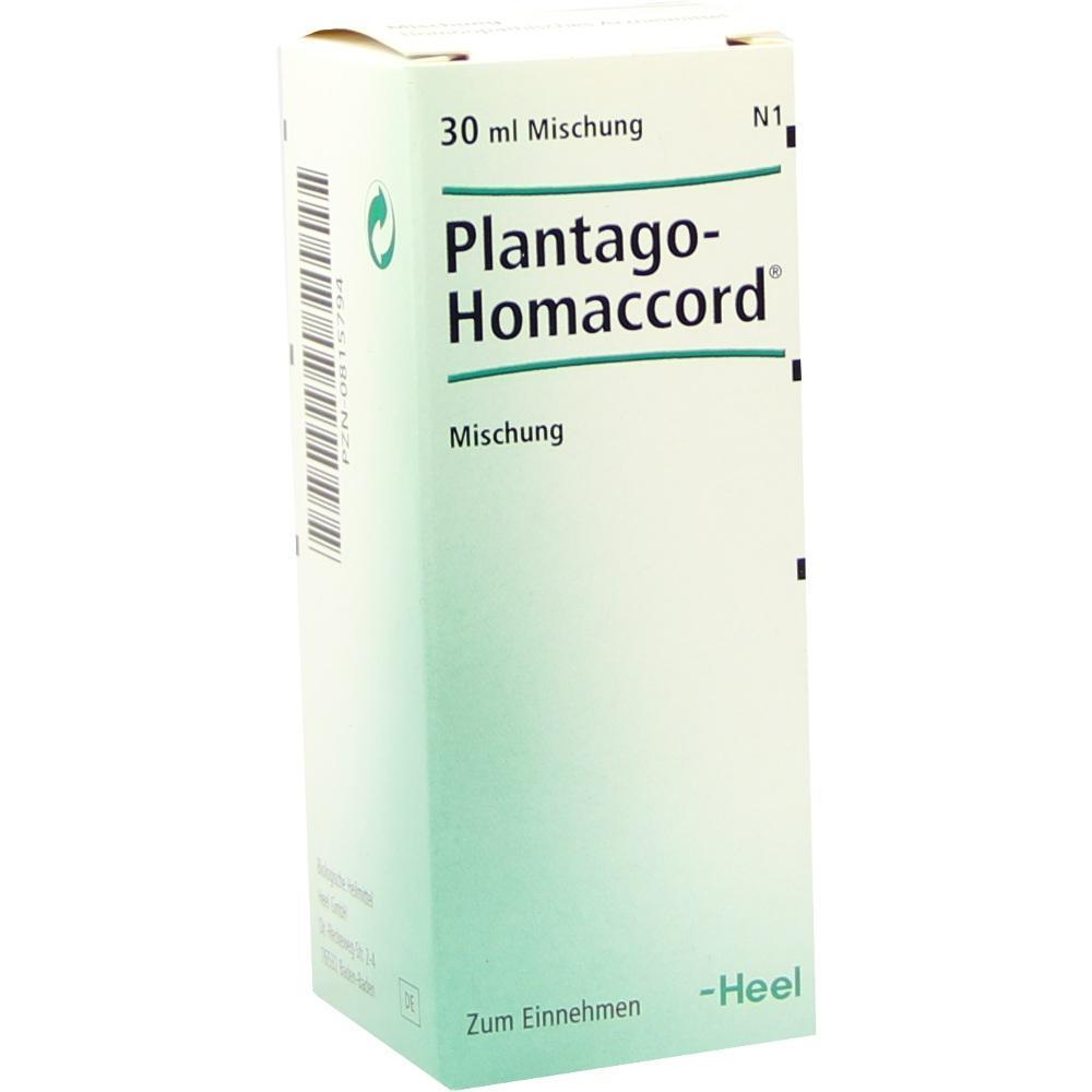 Weiße Verpackung mit der Aufschrift "Plantago-Homaccord" und "Zum Einnehmen".