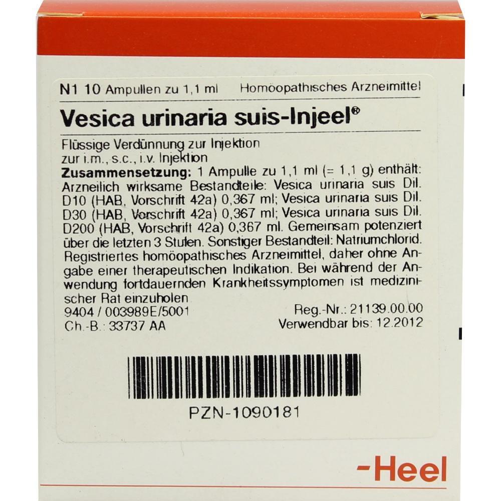 Verpackung einer homöopathischen Injektionslösung namens Vesica urinaria suis-Injeel.