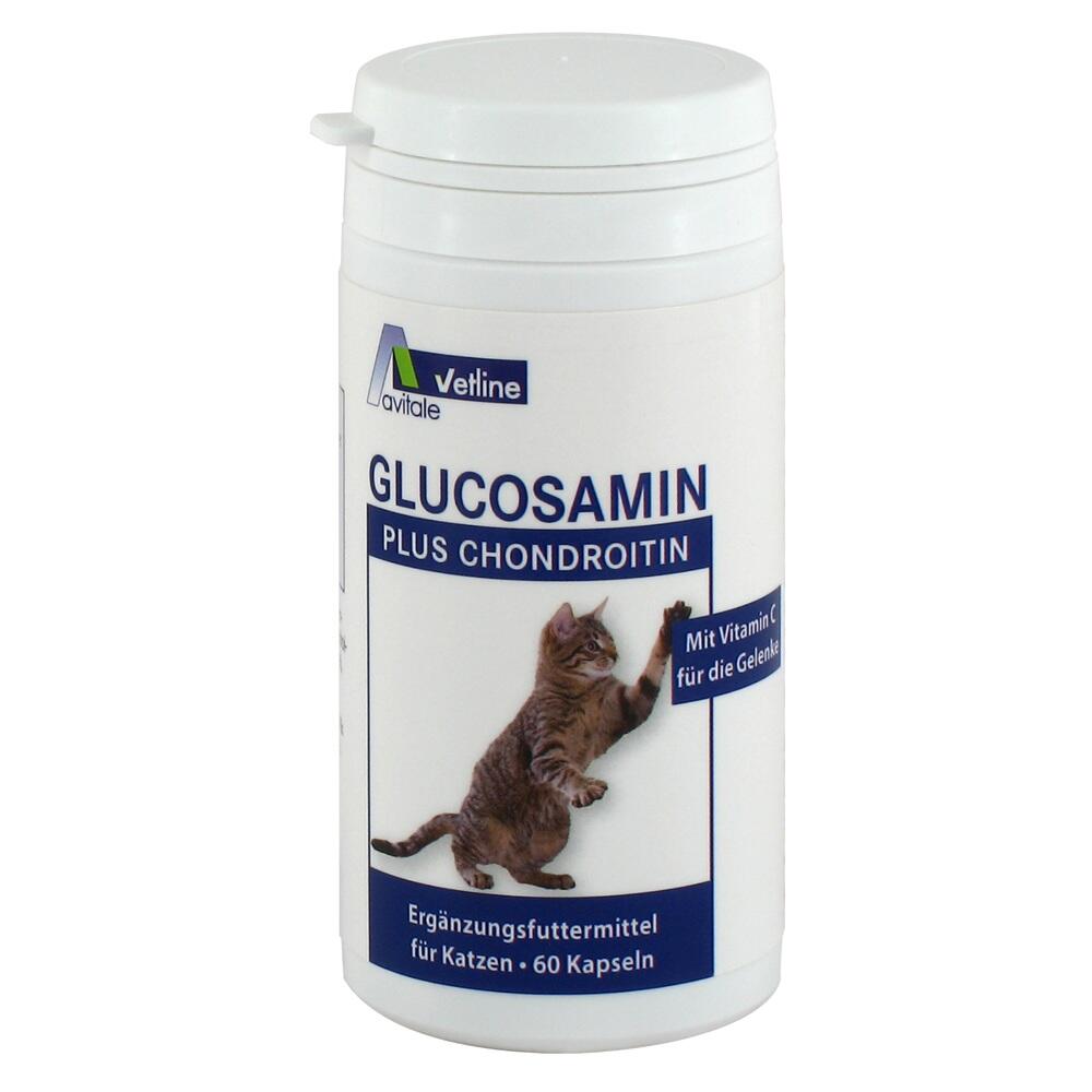 Dose mit Katzenergänzungsfutter, Glucosamin und Chondroitin.