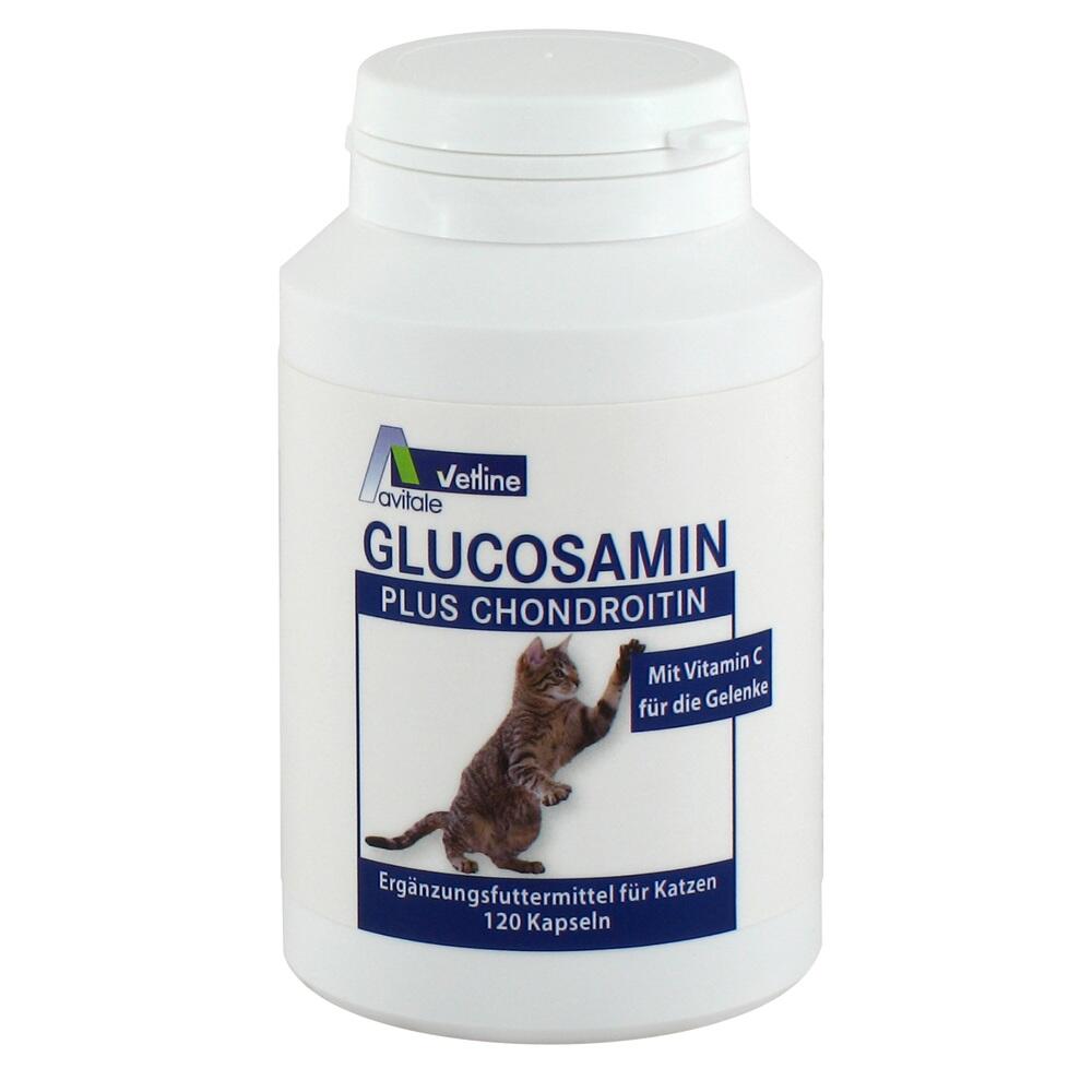 Weißes Fläschchen mit Katzen-Ergänzungsfutter, Glucosamin für die Gelenke.