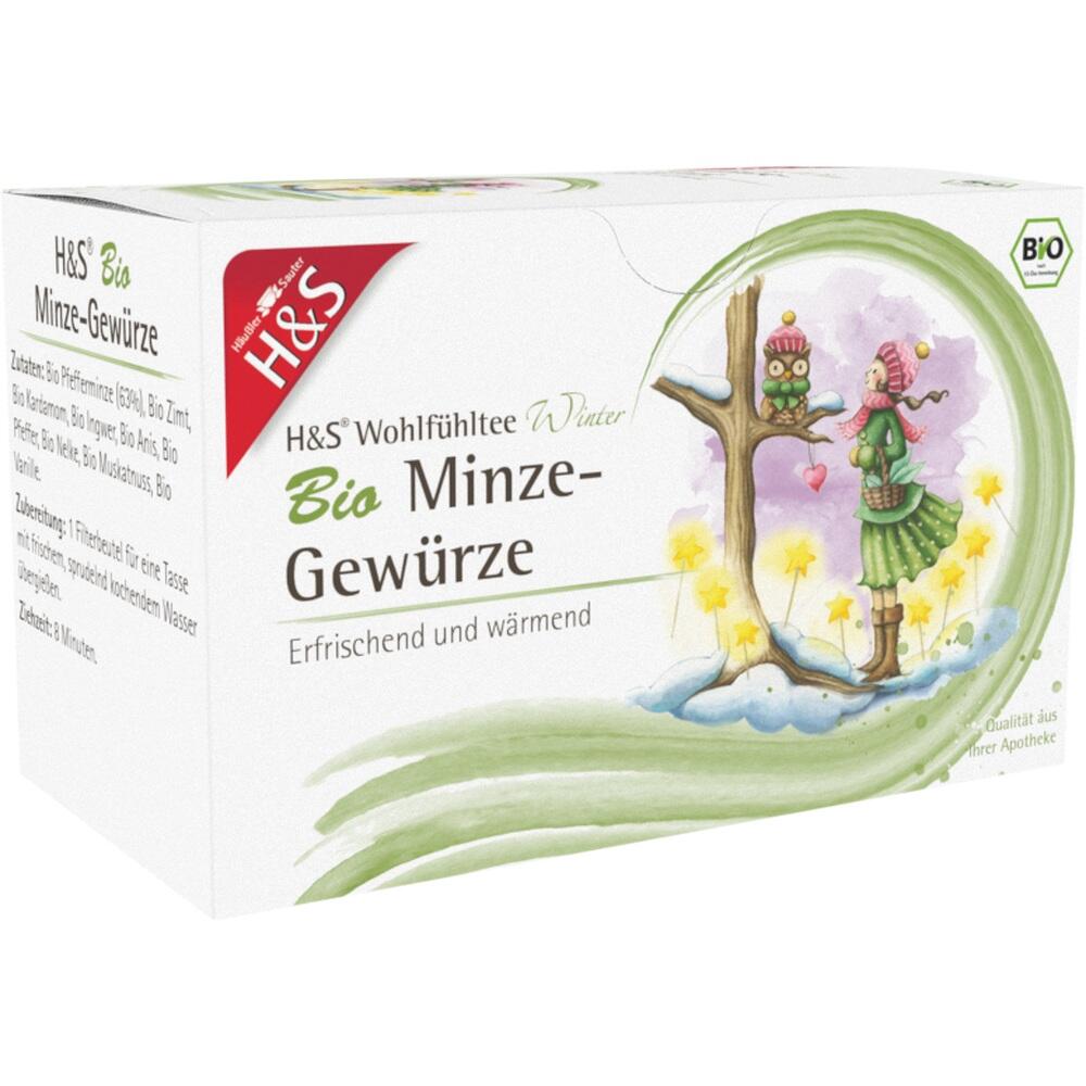 Eine grüne Teepackung mit dem Aufdruck "H&S Bio Minze-Gewürze".